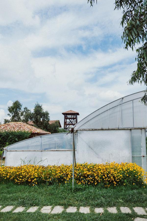 Hotel Blerina's Agritourism Concept *